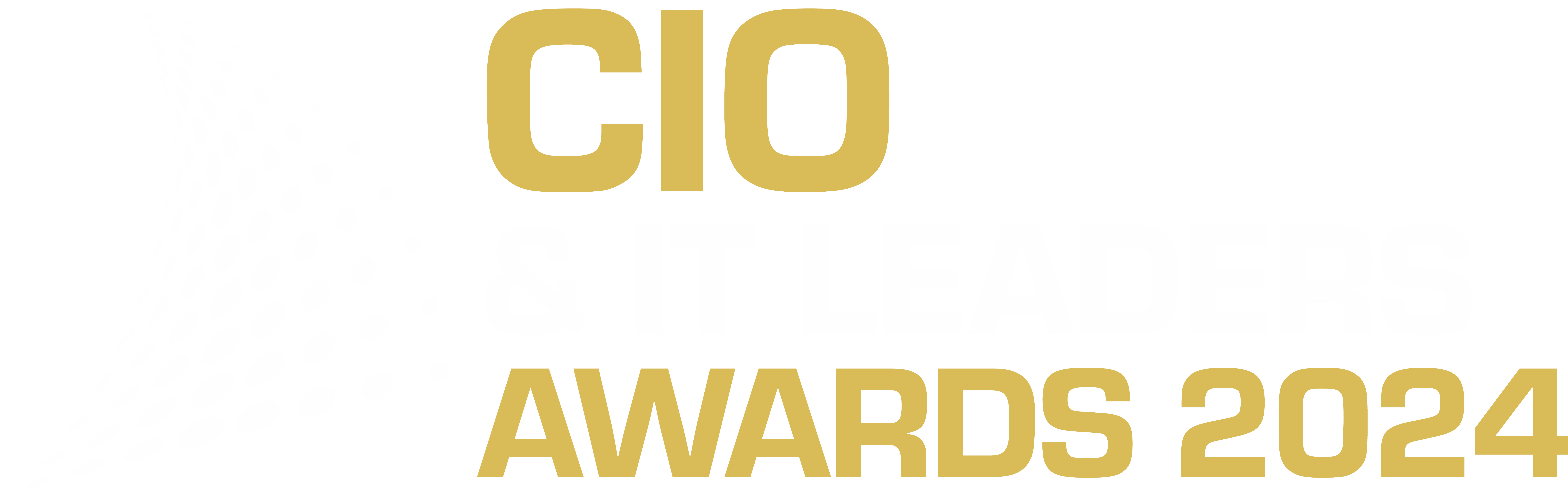 CISO of the Year CIO Awards 2024