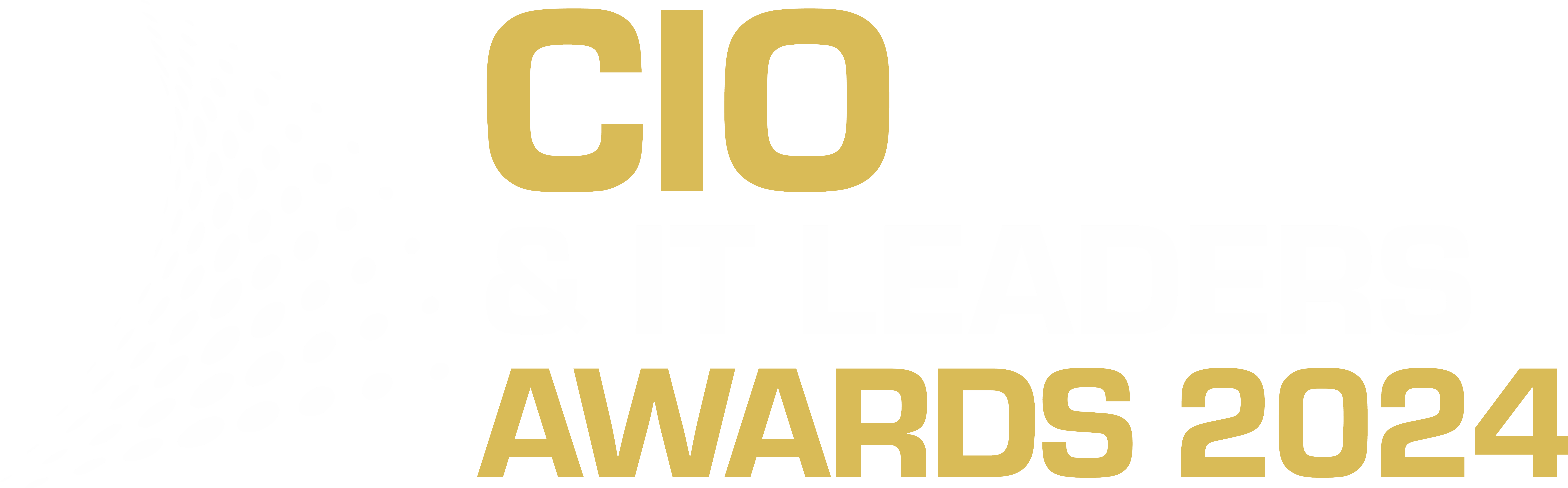 CIO Awards 2024